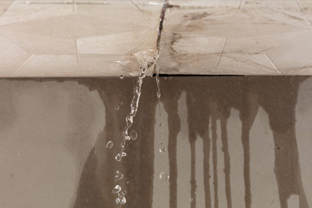 Professional Water Damage Inspection technician working in Glen Rock, NJ